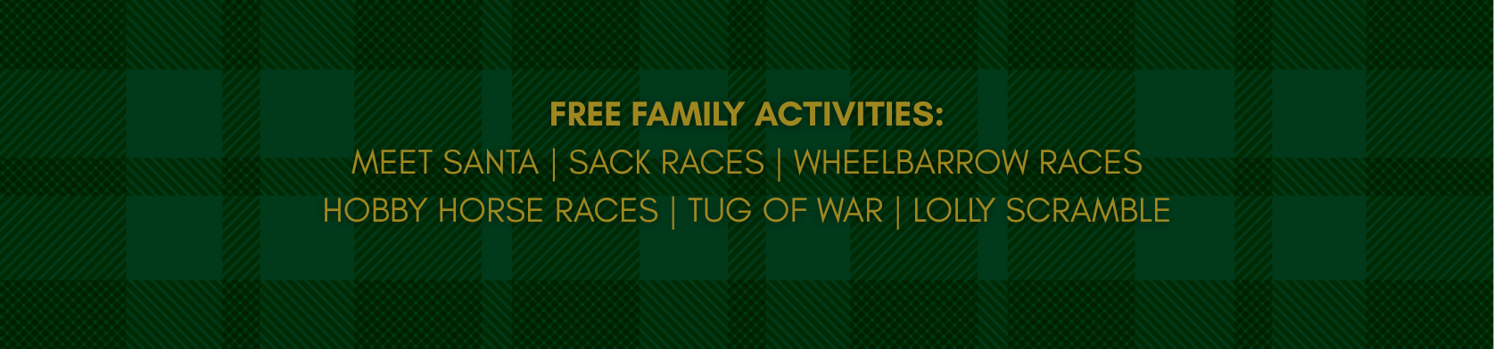Christmas Picnic Banner
